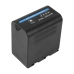 Batterijen Vervangt SSL-JVC70